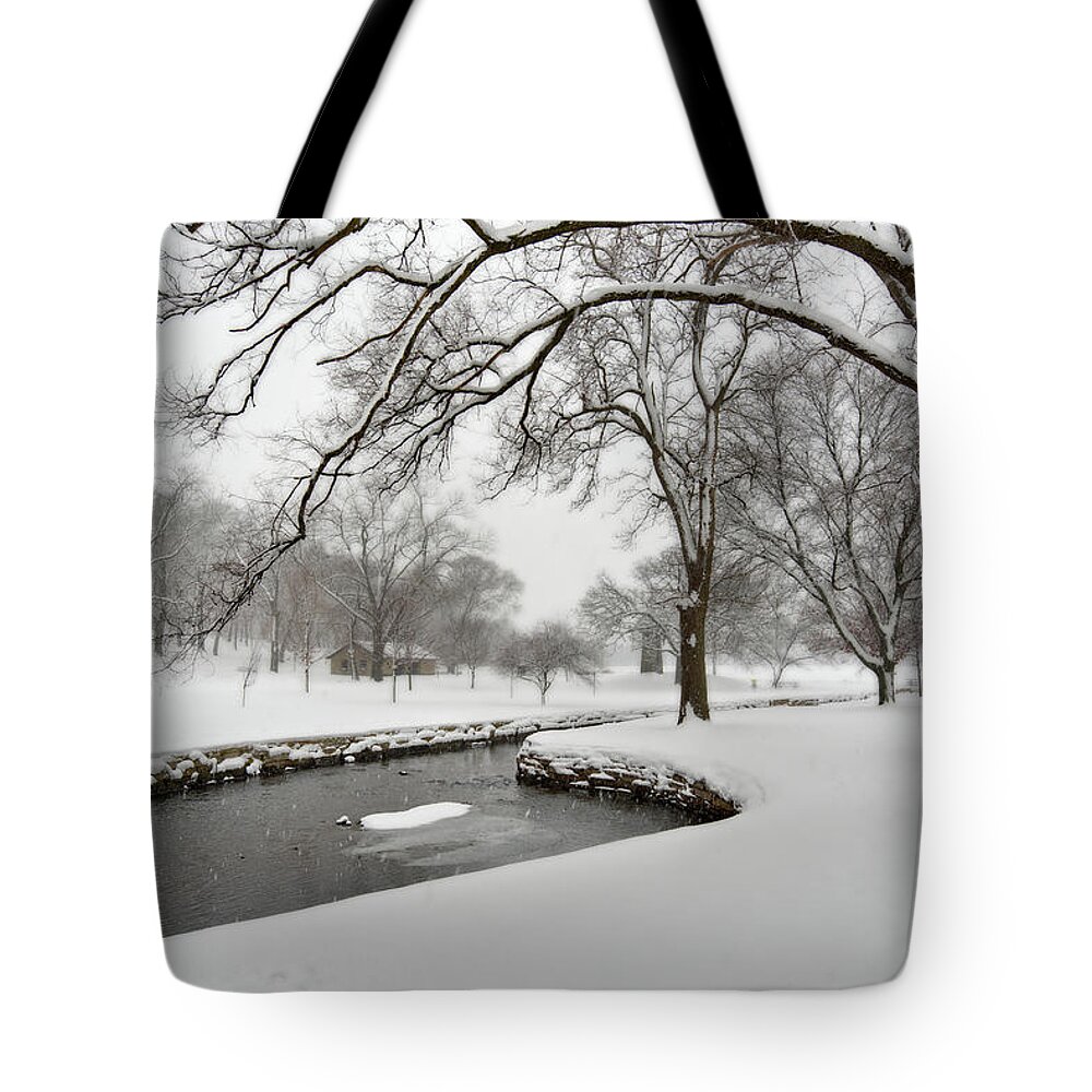 Wi Tote Bag featuring the photograph Lake Leota Park Winterscape series - View from first disc golf teepad - Evansville WI by Peter Herman