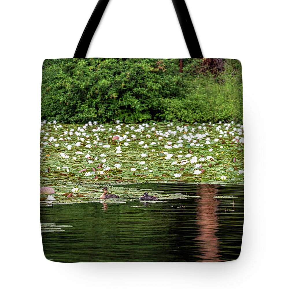 Lake Tote Bag featuring the photograph Lake Lilly's by Pamela Dunn-Parrish