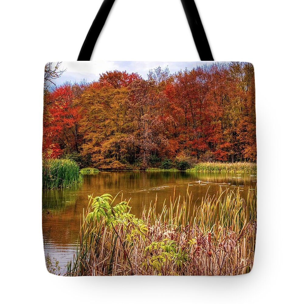 Lake Tote Bag featuring the photograph Lake Logan Ohio in Autumn by Ron Grafe