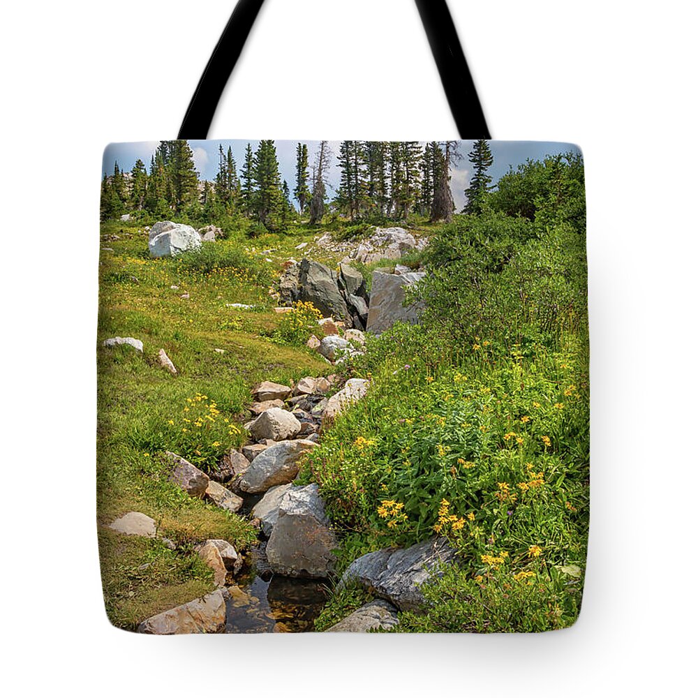 Wyoming Tote Bag featuring the photograph Lake Marie Wyoming No. 45 by Marisa Geraghty Photography