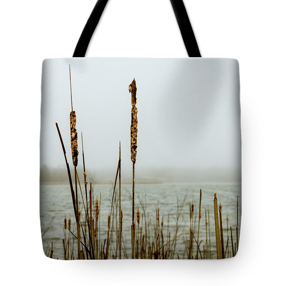 Reed Tote Bag featuring the photograph Lakeside Reeds in the Fog by Craig A Walker