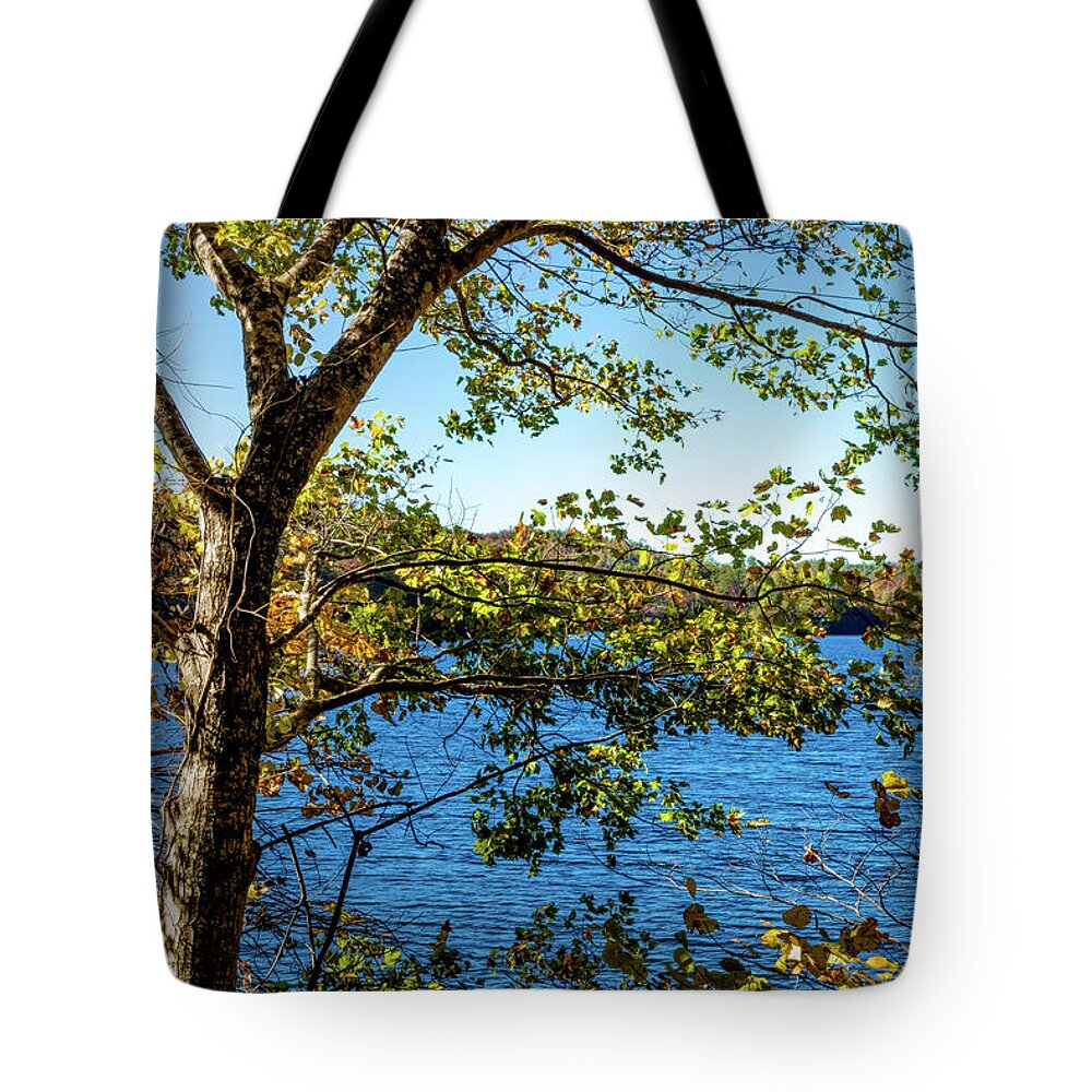 Carolina Tote Bag featuring the photograph Lakeview by Debra and Dave Vanderlaan