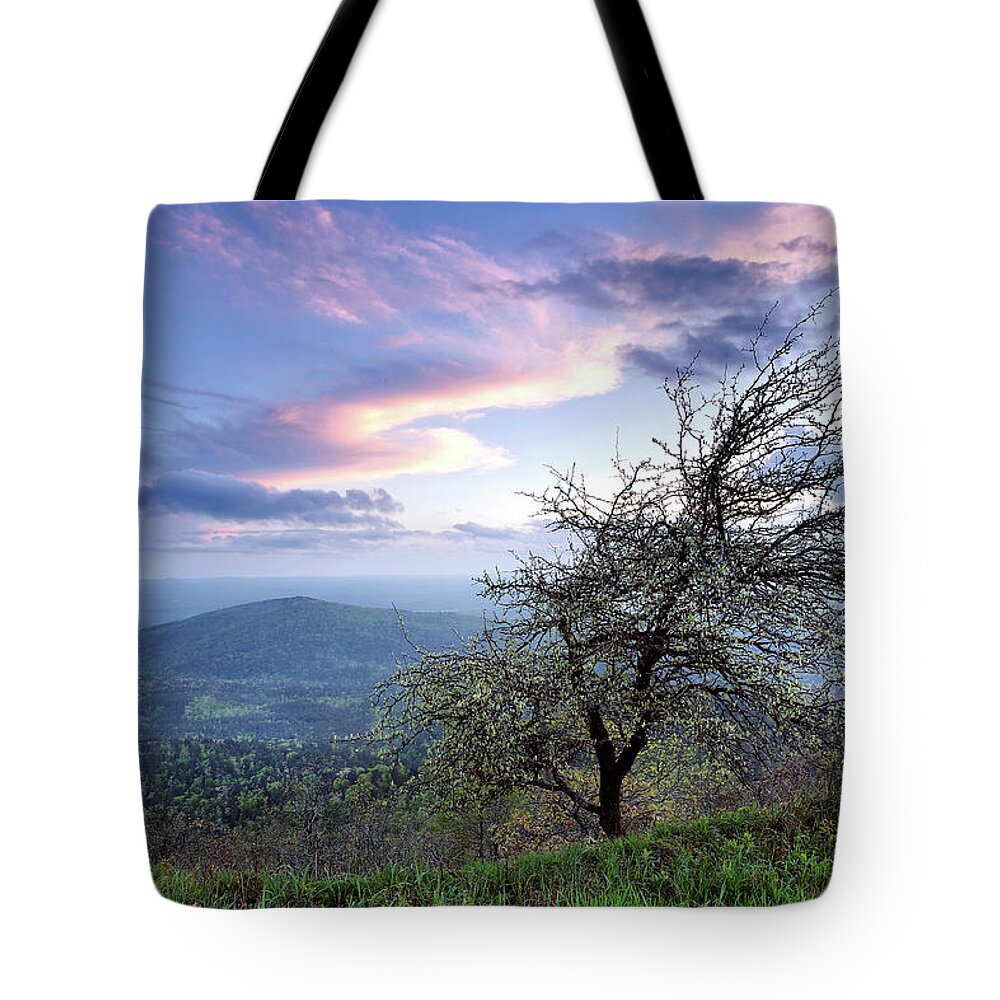 Sky Tote Bag featuring the photograph Land and Sky Alligned by William Rainey