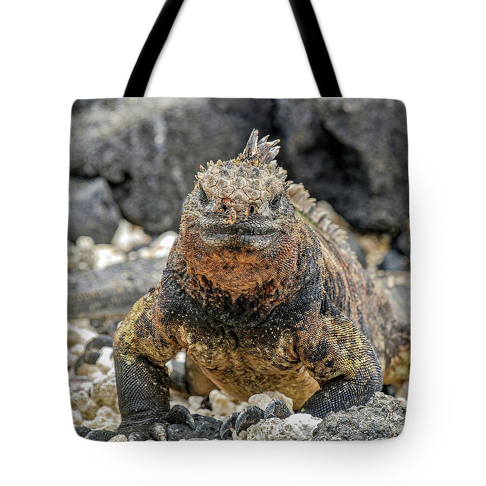 Adjectives# Tote Bag featuring the photograph Close-up photography of a Galapagos Land Iguana by Henri Leduc