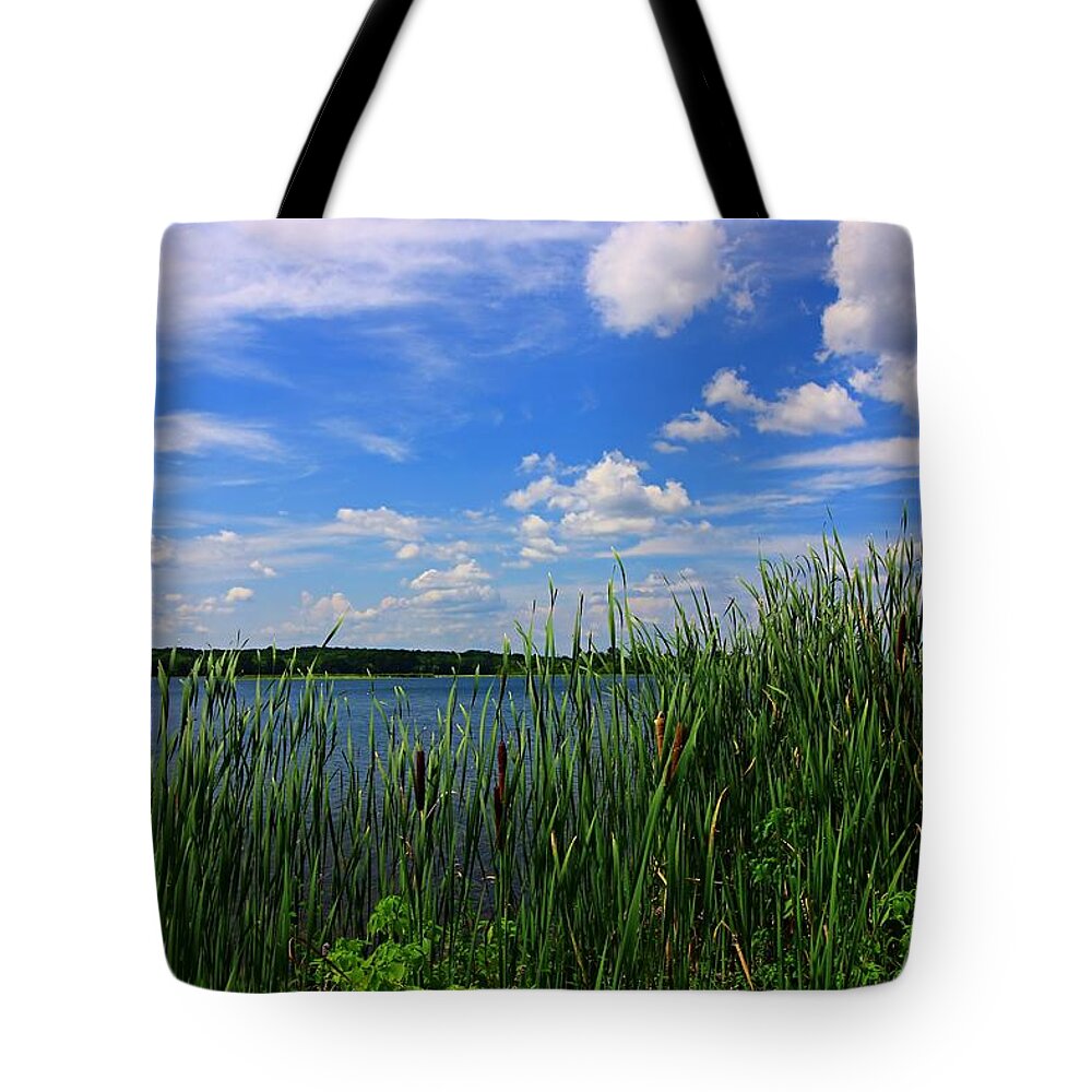 Landscape Tote Bag featuring the photograph Land, Water and Sky by Mary Walchuck