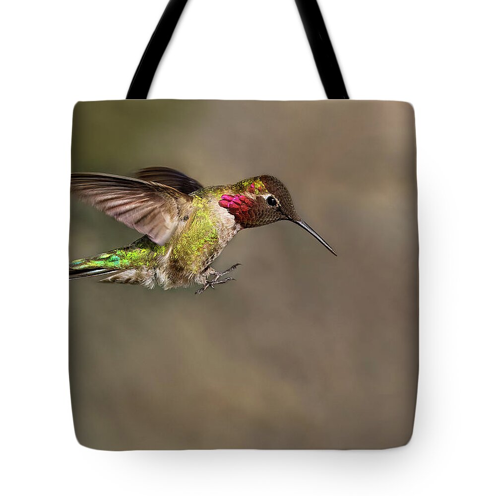 Bird Tote Bag featuring the photograph Landing Anna's Hummingbird by Art Cole