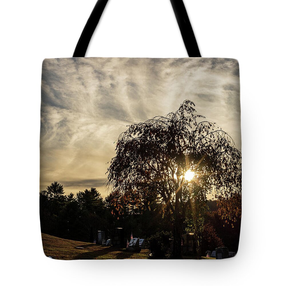 Landscapes Tote Bag featuring the photograph Landscape Photography - Cemetery by Amelia Pearn