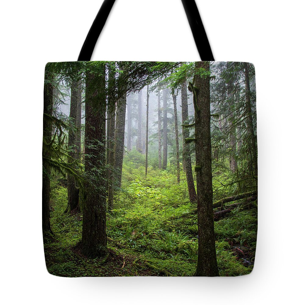 Larch Mountain Fog Tote Bag featuring the photograph Larch Mountain Fog by Catherine Avilez
