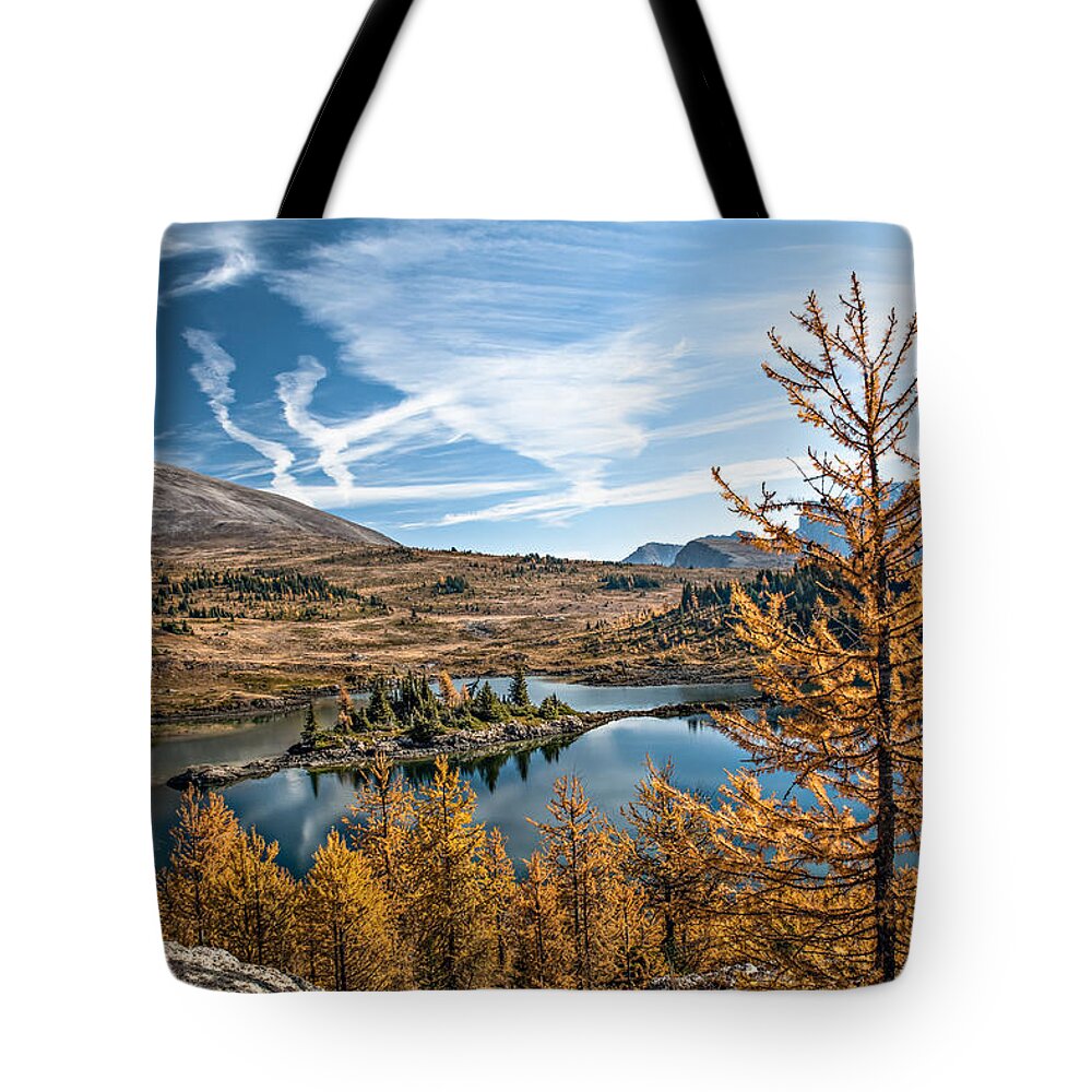 Larch Tote Bag featuring the photograph Larch Trees in Sunshine Meadow by Linda Villers