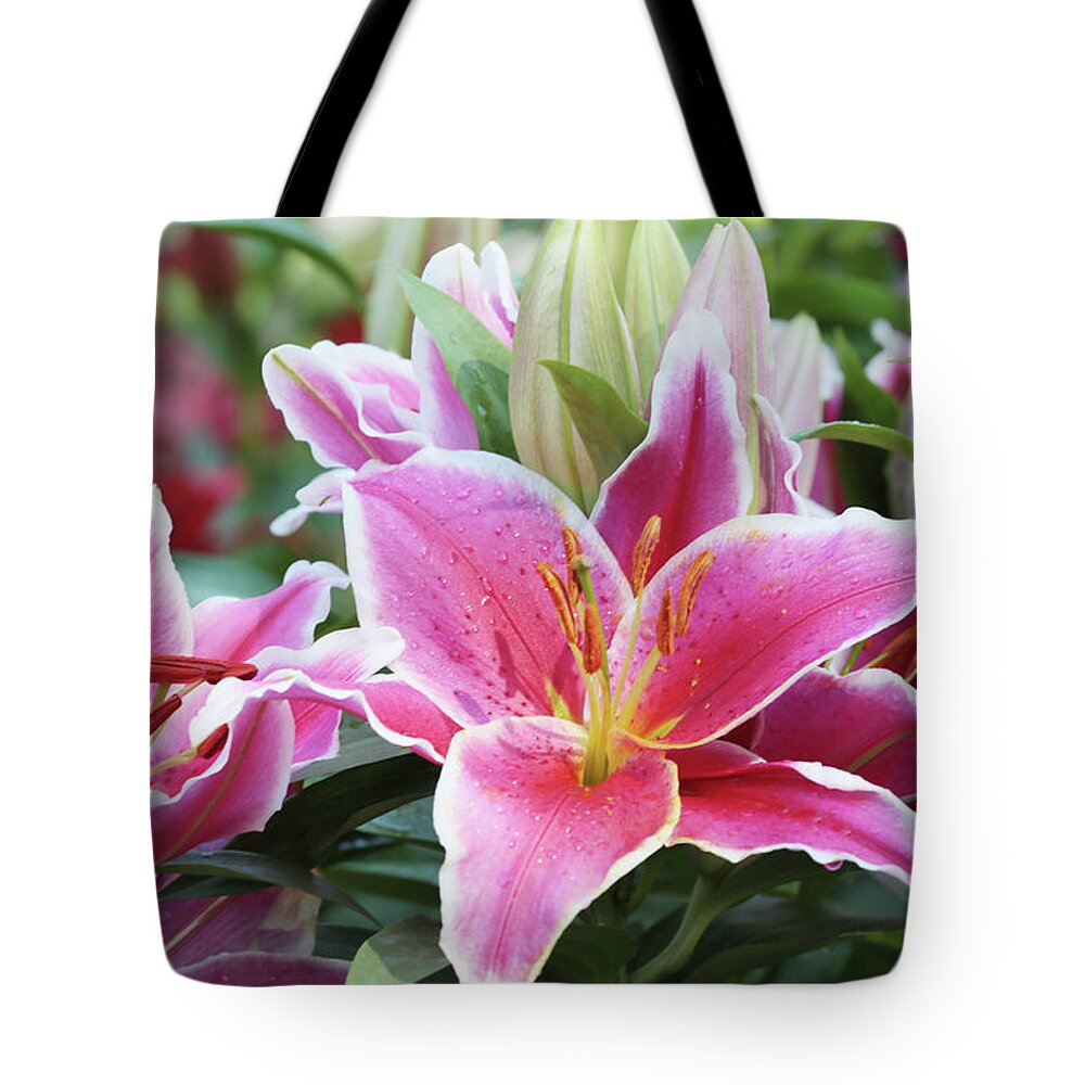Floral Tote Bag featuring the photograph Large fuchsia Stargazer Lilies by Iris Richardson