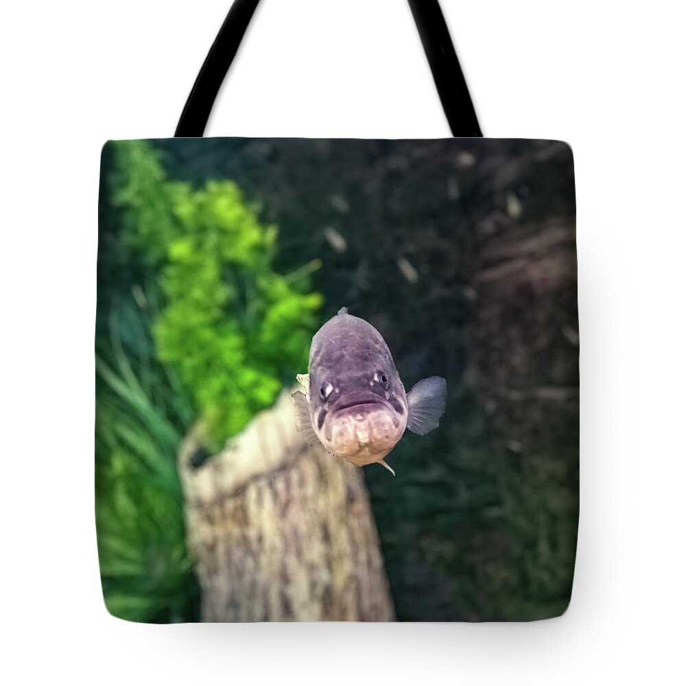Largemouth Bass Tote Bag featuring the photograph Largemouth Bass 001 by Flees Photos
