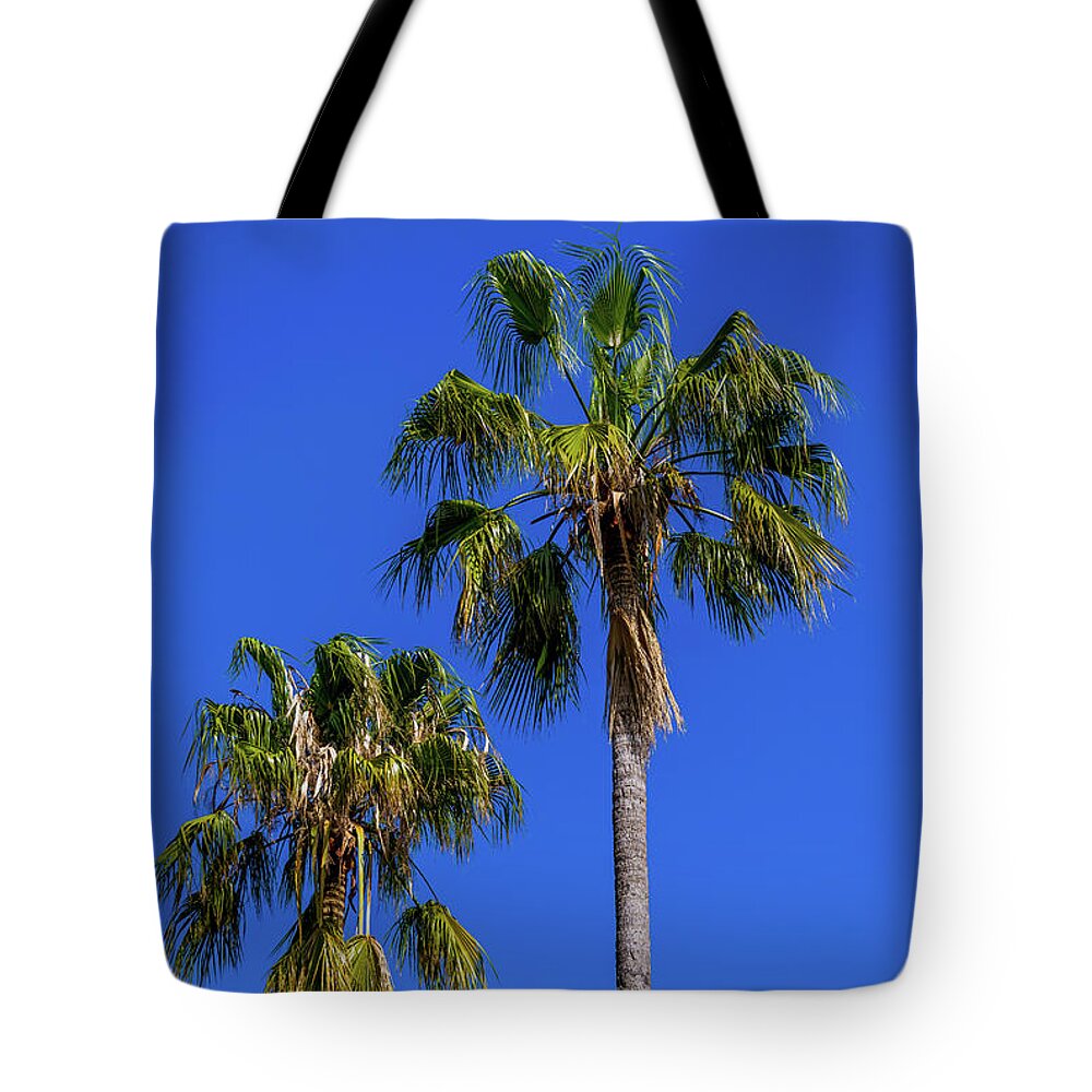#nature #photography #naturephotography #love #photooftheday #travel #instagood #beautiful #art #picoftheday #photo #instagram #like #landscape #follow #naturelovers #happy #style #life #instadaily #fashion #beauty #smile #ig #travelphotography #photographer #sunset #palmas#greenandblue Tote Bag featuring the photograph Las Dos Palmas by Angela Carrion Photography