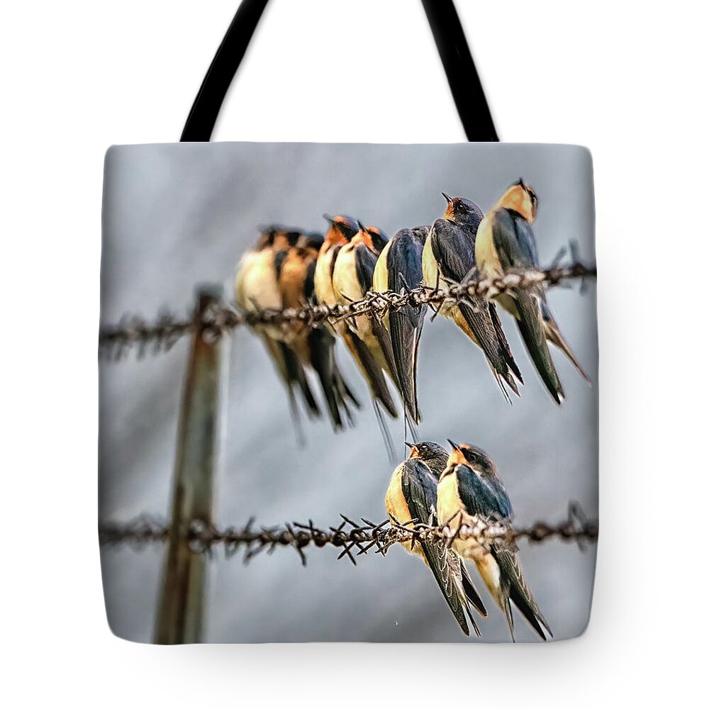 Barn Swallows Tote Bag featuring the photograph Las Golondrinas by Winnie Chrzanowski