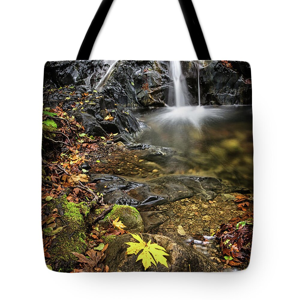 Waterfall Tote Bag featuring the photograph Last Bit of Fall by Linda Villers
