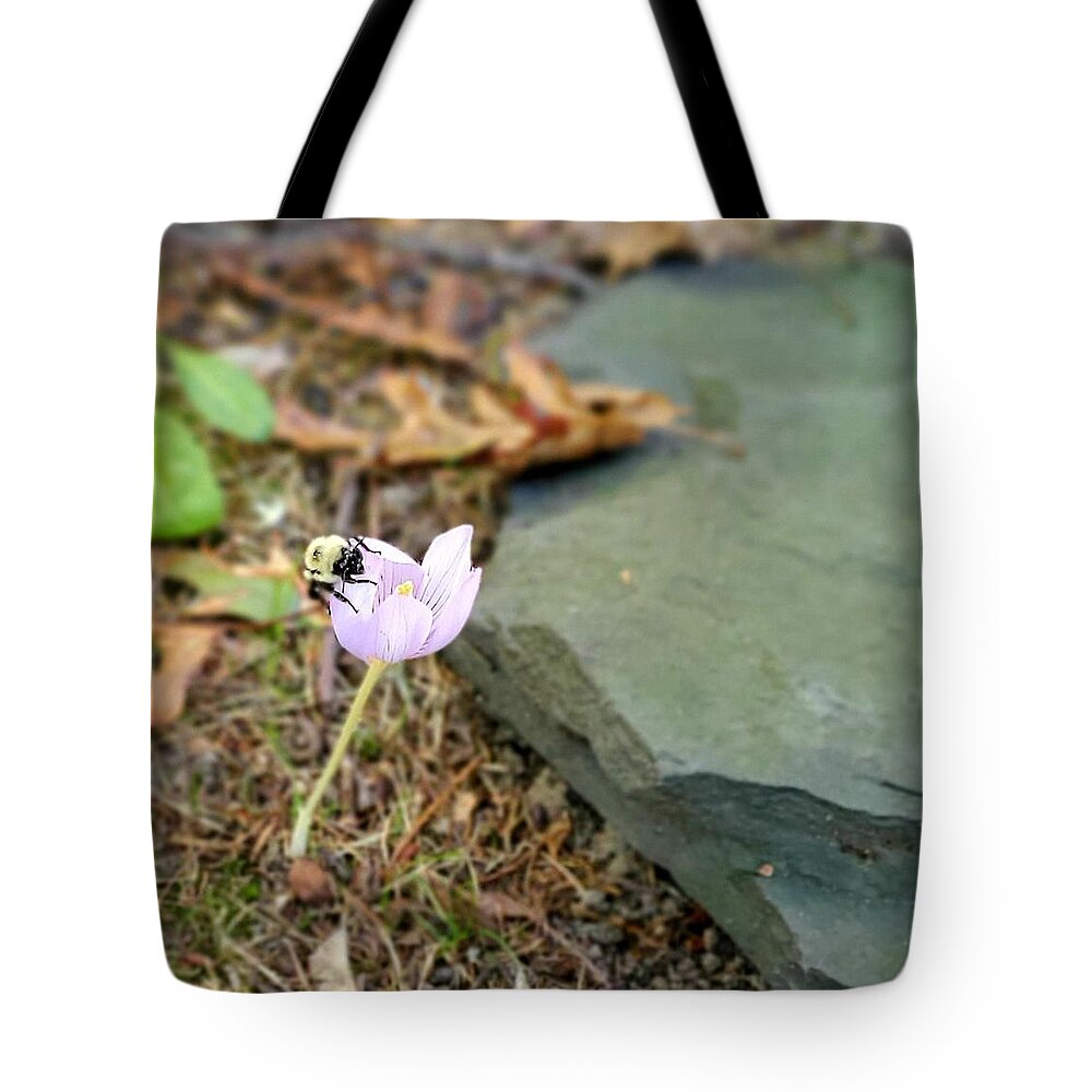Bumble Bee Tote Bag featuring the photograph Last Bumble Bee on a Crocus by Stacie Siemsen