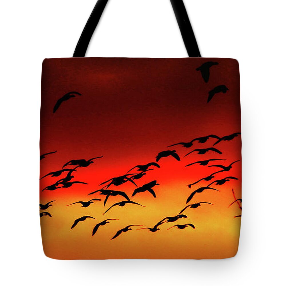 Geese Tote Bag featuring the photograph Last Light of the Day by Scott Cameron