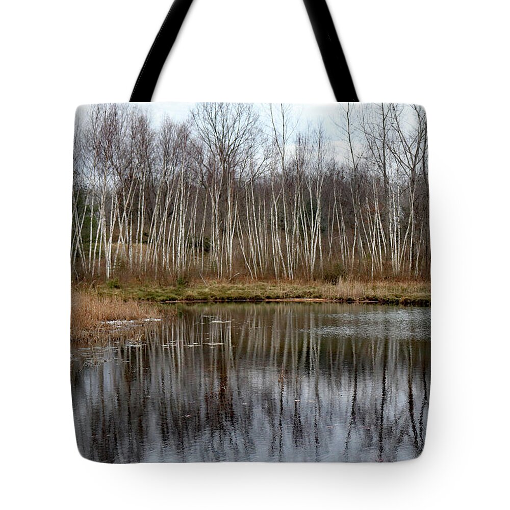 Fall Tote Bag featuring the photograph Late Fall Reflection at Canadian Lakes by David T Wilkinson
