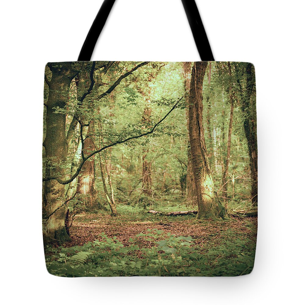Forest Tote Bag featuring the photograph Late Summer Evenings by Gavin Lewis