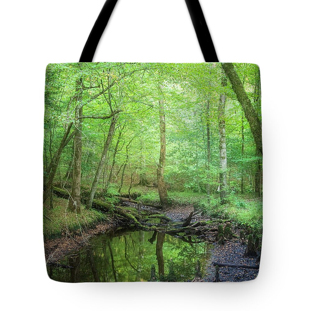 Forest Tote Bag featuring the photograph Late Summer in the Forest by Bob Decker