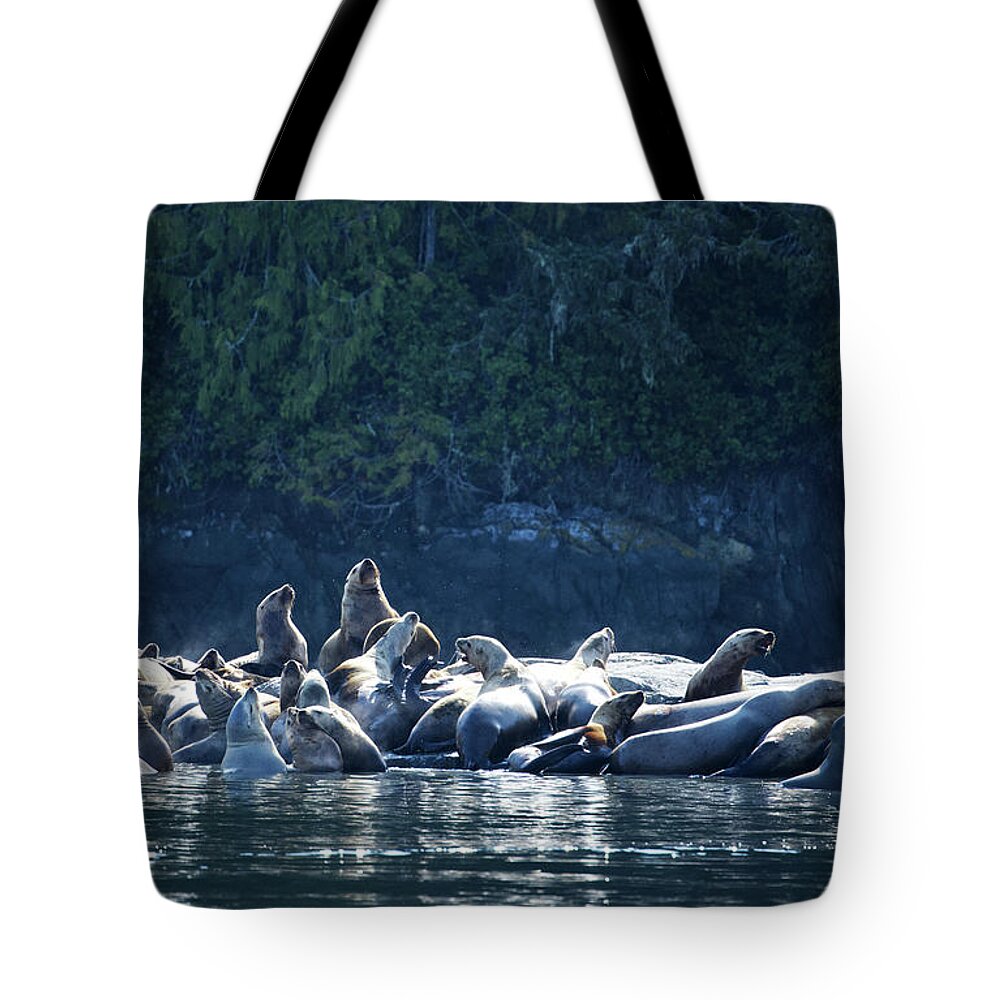 Sea Lion Tote Bag featuring the photograph Sea Lions by Canadart -