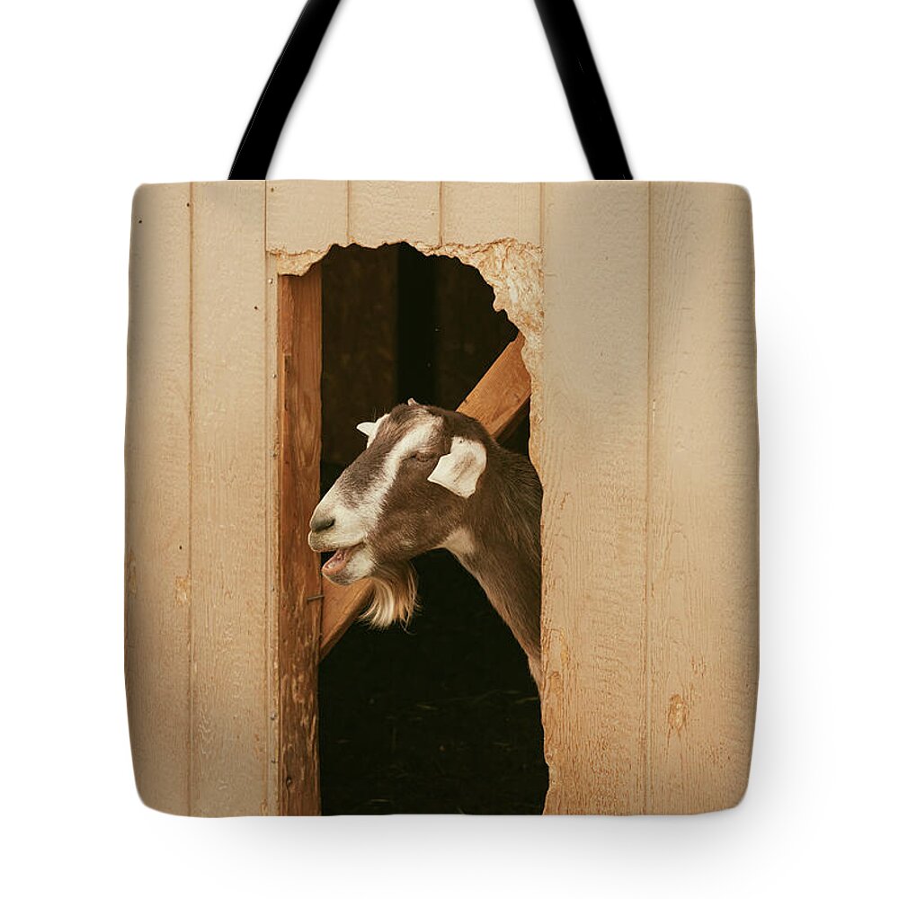 Goat Tote Bag featuring the photograph Laughing Goat by Ana V Ramirez