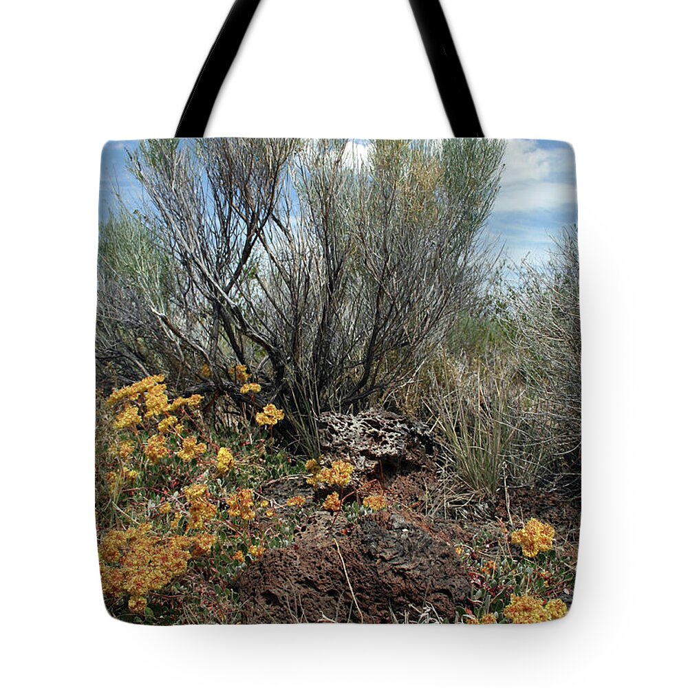 Lava Beds Color Brush Tote Bag featuring the photograph Lava Beds Color Brush by Dylan Punke