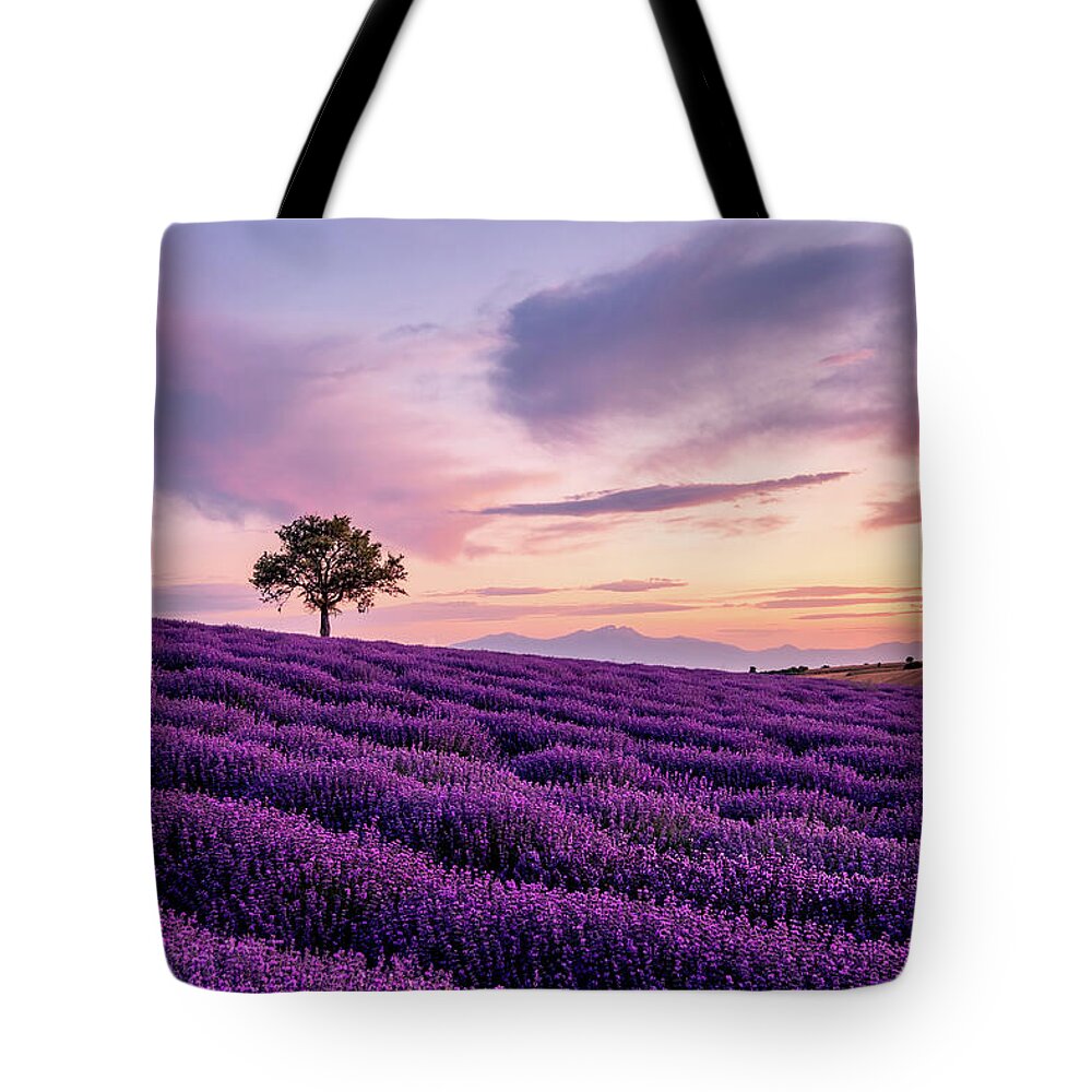 Lavender Tote Bag featuring the photograph Lavender field with a Lonely Tree and a Mountain in the Background at Sunset by Alexios Ntounas