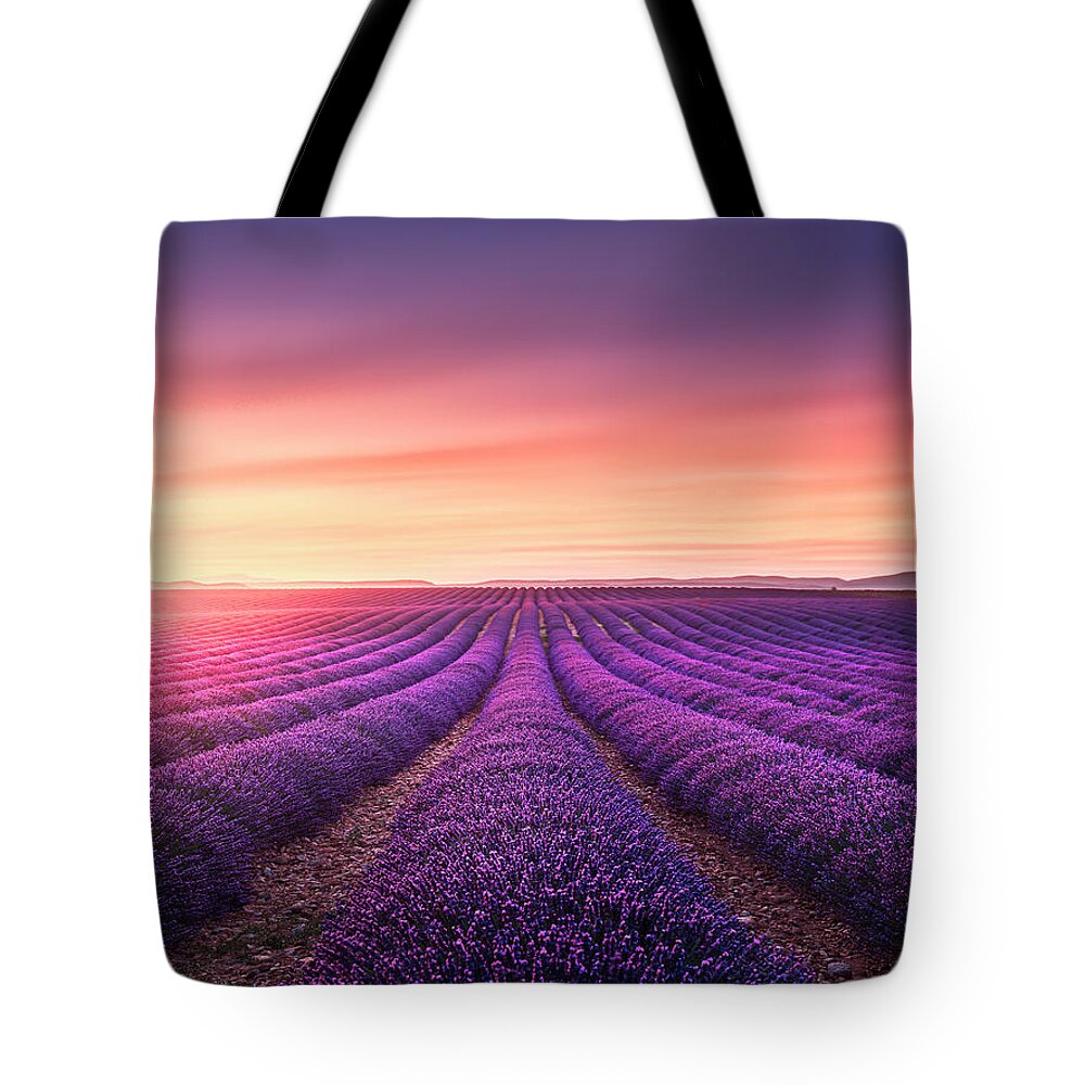 Lavender Tote Bag featuring the photograph Lavender fields at sunset. by Stefano Orazzini