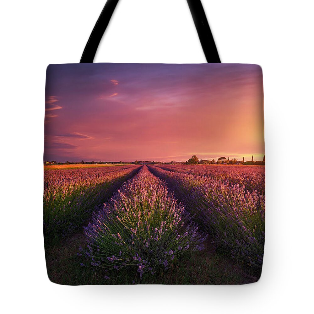 Lavender Tote Bag featuring the photograph Lavender flowers fields and a beautiful sunset. Tuscany by Stefano Orazzini
