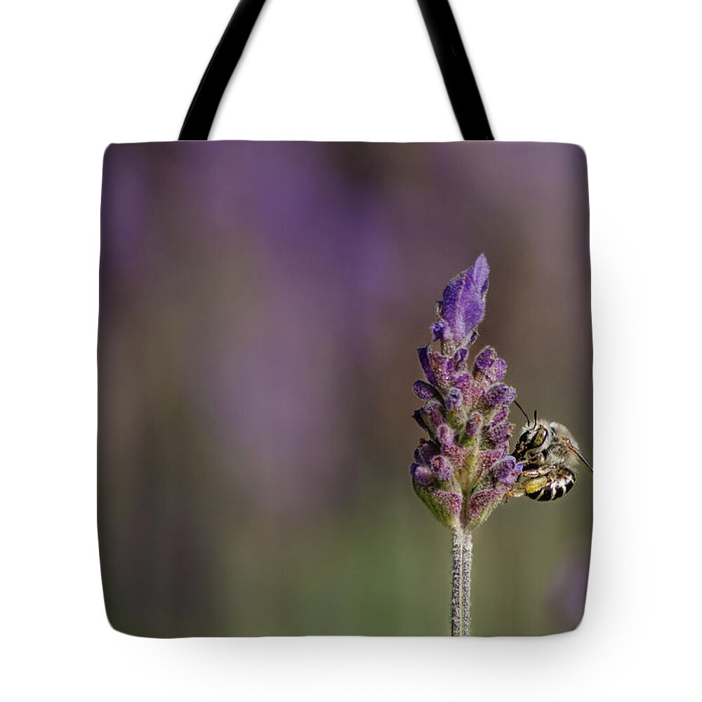 Lavender Tote Bag featuring the photograph Lavender Scented by Linda Villers
