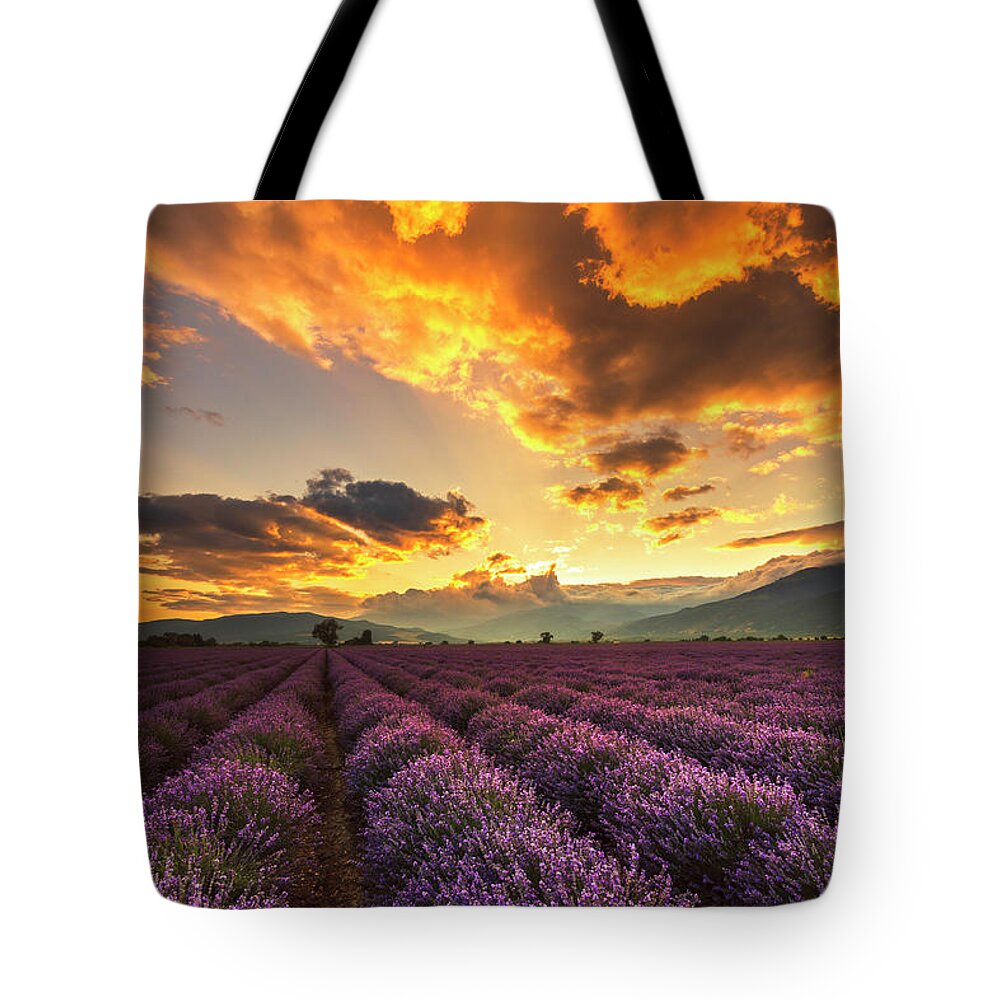 Bulgaria Tote Bag featuring the photograph Lavender Sun by Evgeni Dinev