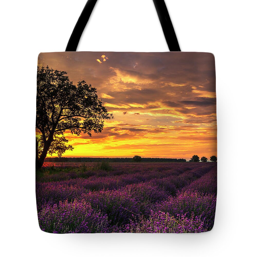 Bulgaria Tote Bag featuring the photograph Lavender Sunrise by Evgeni Dinev