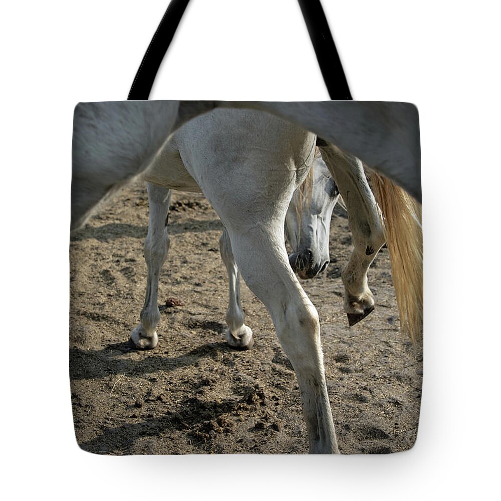 Horses Tote Bag featuring the photograph Layers of Mares by M Kathleen Warren