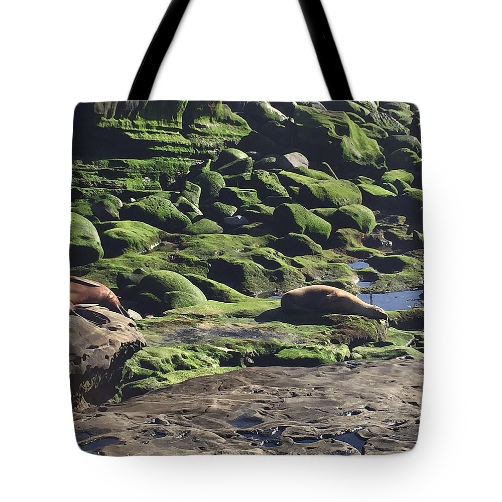Photography Tote Bag featuring the photograph Lazy Day at Seal Beach by Lisa White