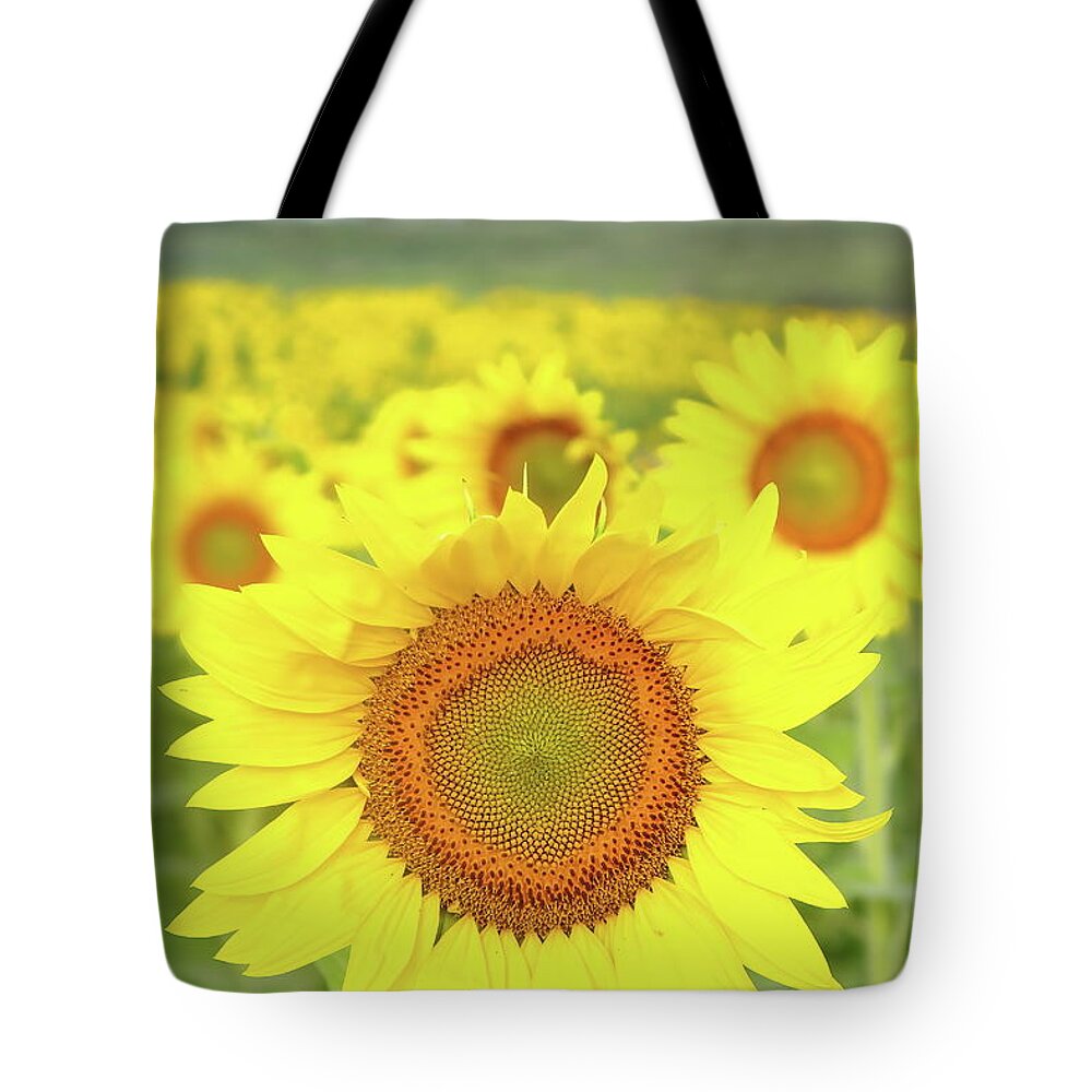 Sunflower Tote Bag featuring the photograph Leader Of The Pack by Lens Art Photography By Larry Trager