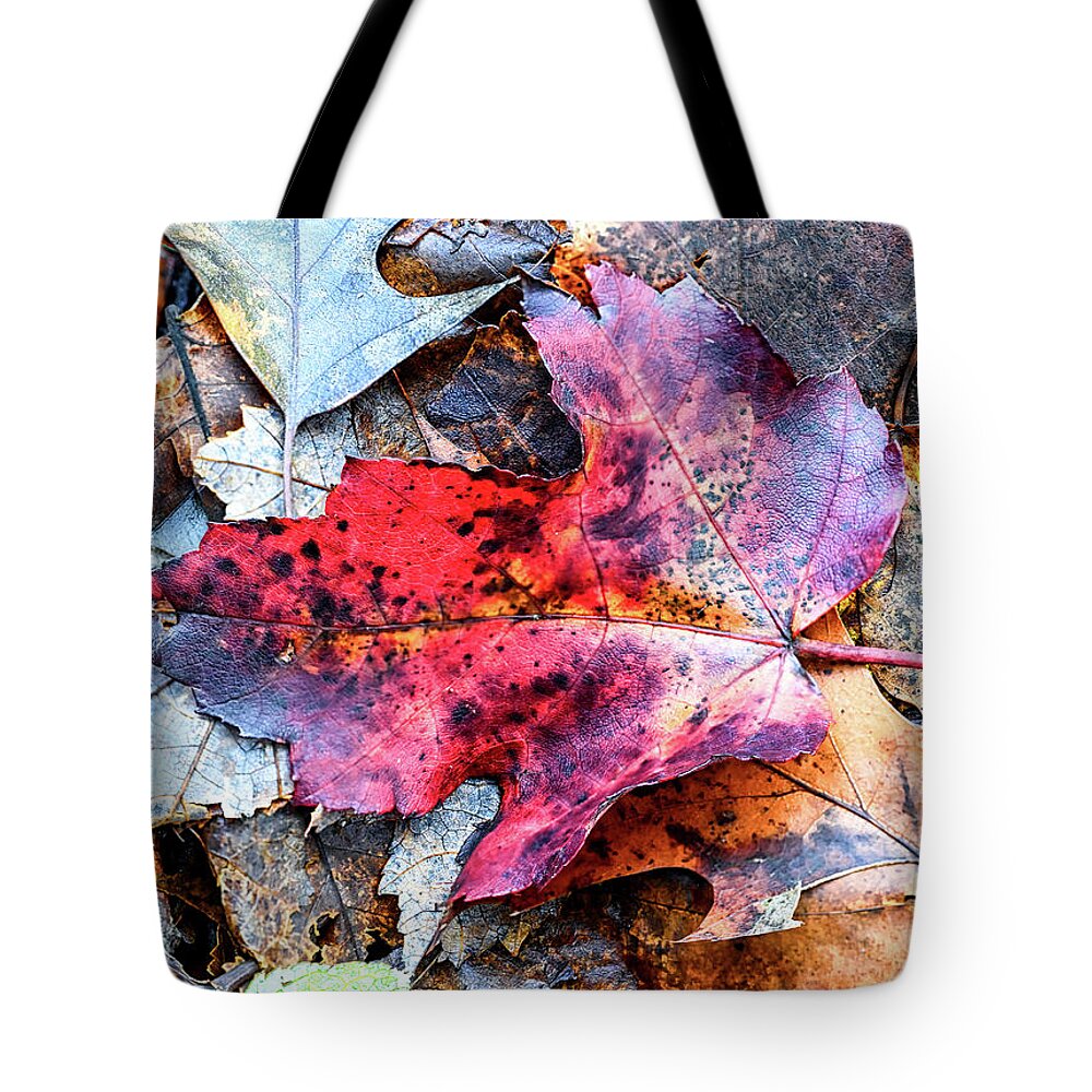 Fall Tote Bag featuring the photograph Leaf Carpet by Steven Nelson