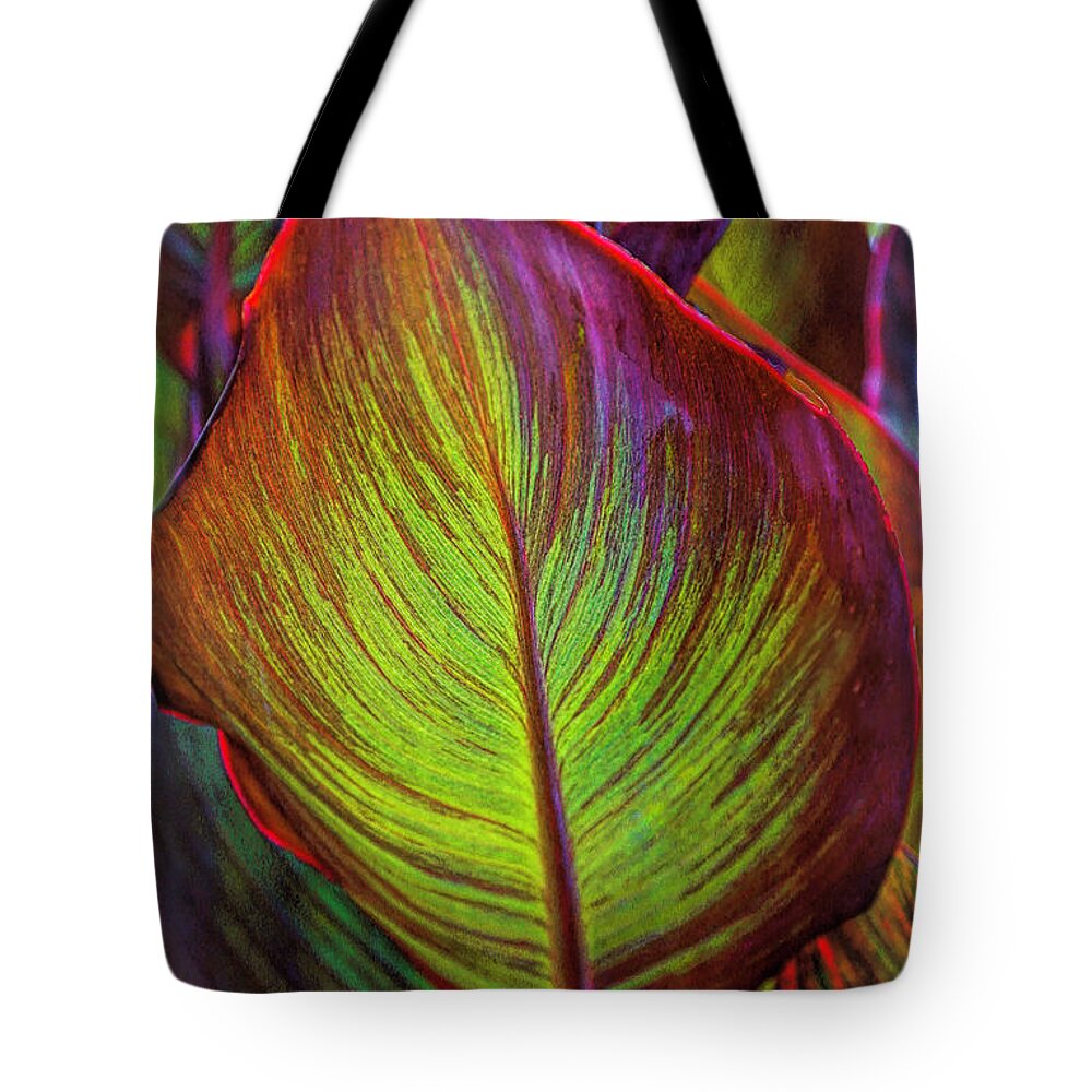 Colorful Tote Bag featuring the photograph Leaf Glow by Rochelle Berman