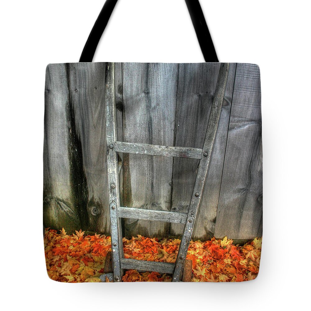 Dolly Tote Bag featuring the photograph Leaf on a Dolly by Wayne King