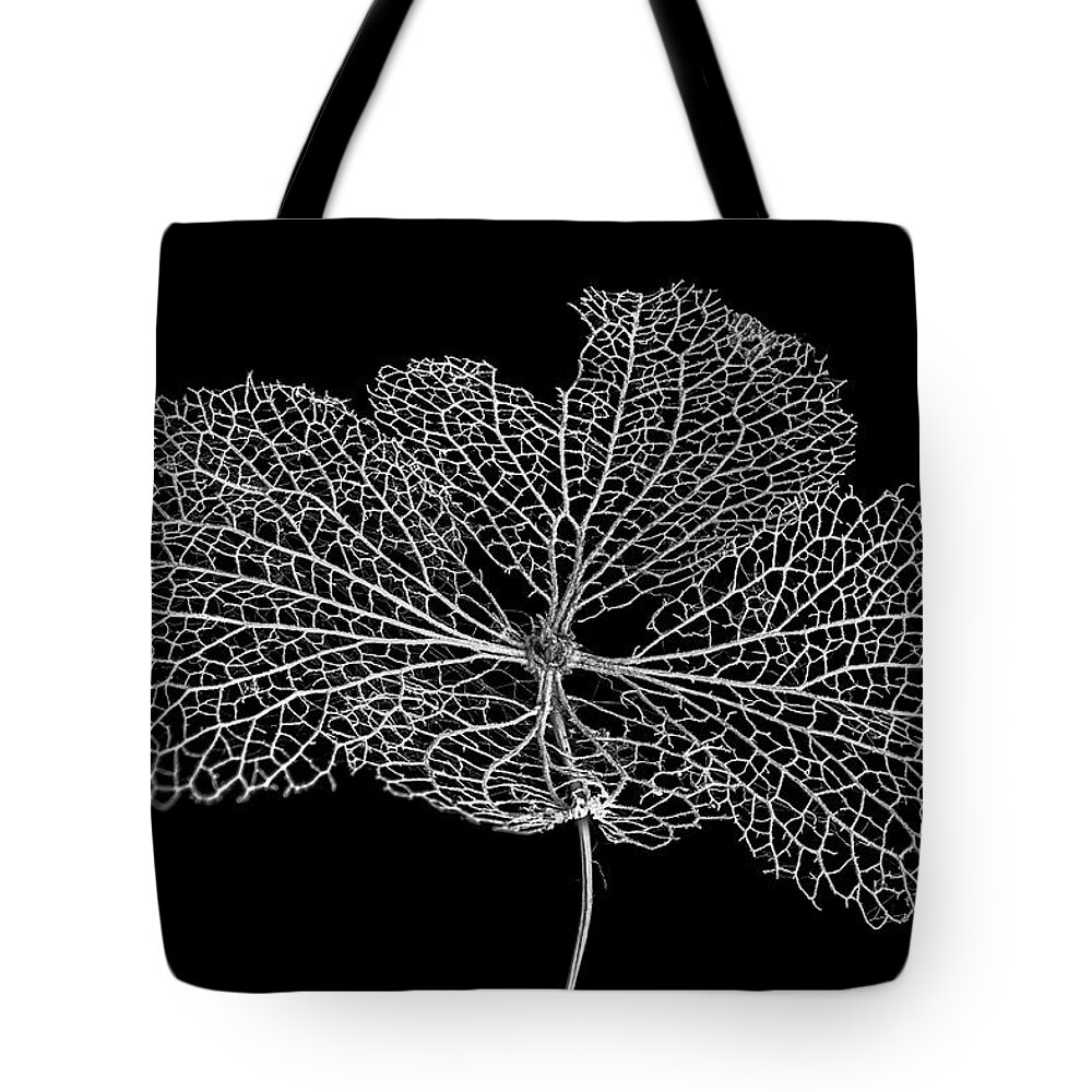 Leaf Tote Bag featuring the photograph Leaf Skeleton 1 by Nigel R Bell