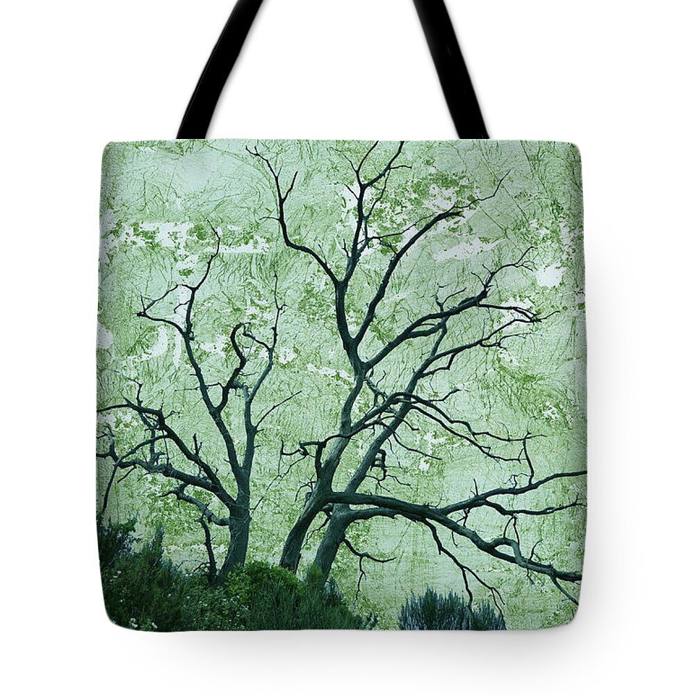 Leafless Tree Tote Bag featuring the digital art Leafless Tree on Textured Cyan background by Lorena Cassady