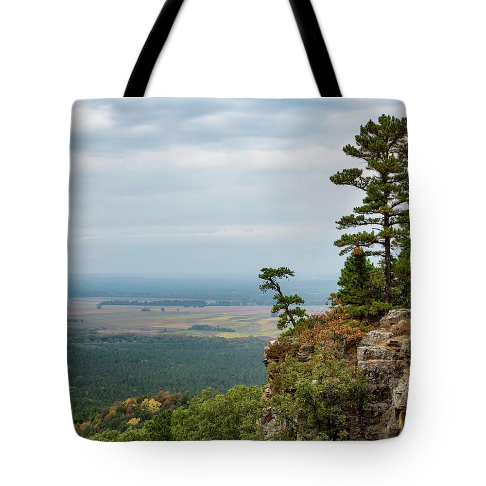 Petit Jean Tote Bag featuring the photograph Leaning Pine on Petit Jean Mountain by James Barber