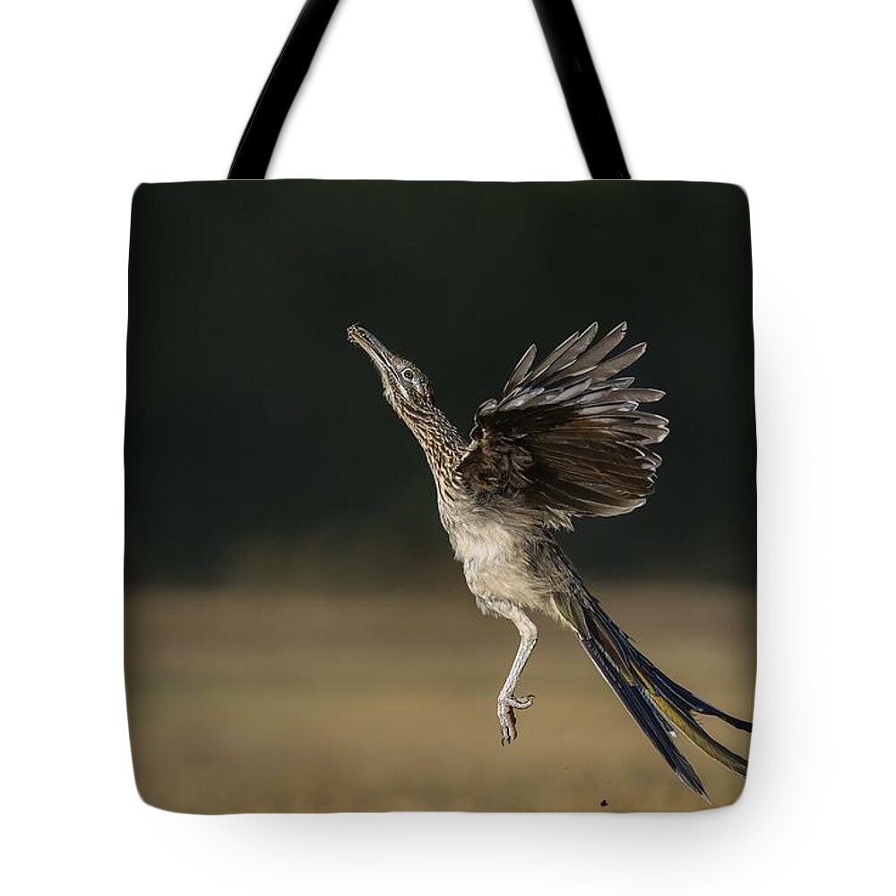 Greater Roadrunner Tote Bag featuring the photograph Leaping to feed by Puttaswamy Ravishankar