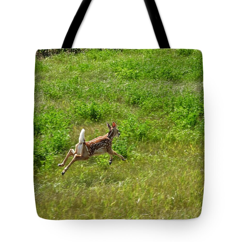 Fawn Tote Bag featuring the photograph Leaps and Bounds by Amanda R Wright