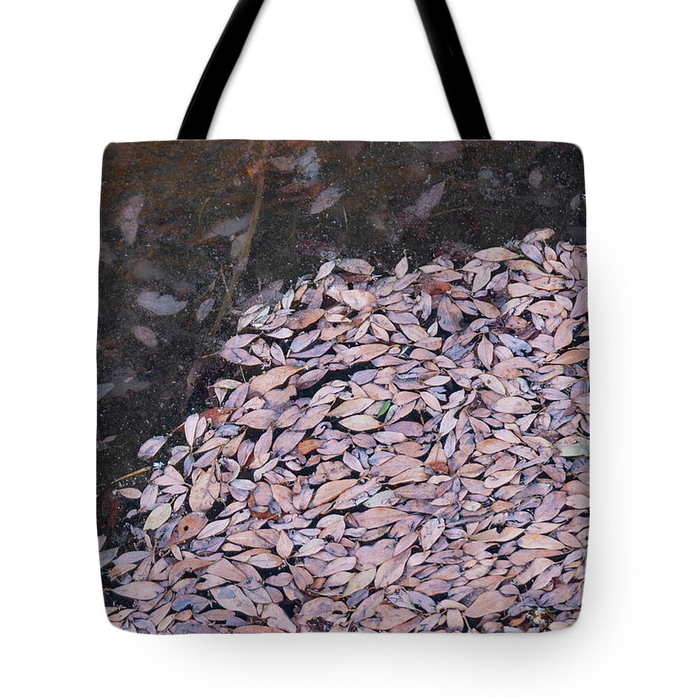 Leaves Tote Bag featuring the photograph Leaves And Ice by Karen Rispin