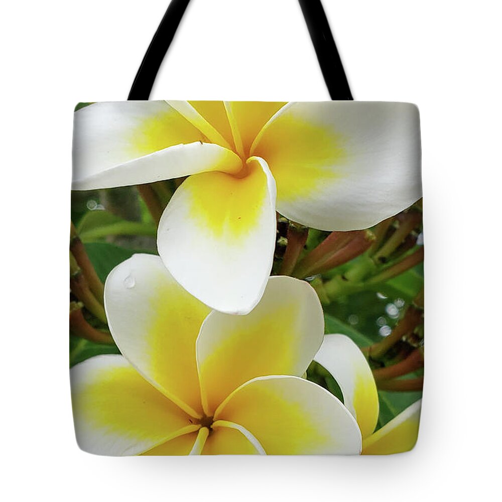 Flowers Tote Bag featuring the photograph Lemon Meringue by Tony Spencer