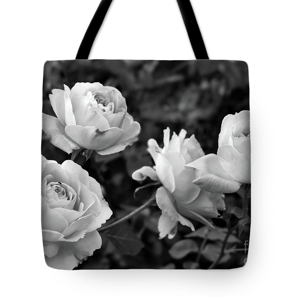 Nature Tote Bag featuring the photograph Let me take you to Fields of Roses 002 BNW by Leonida Arte