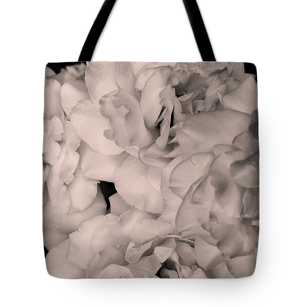 Fine Art Tote Bag featuring the photograph Let me take you to Fields of Roses 007 BNW by Leonida Arte