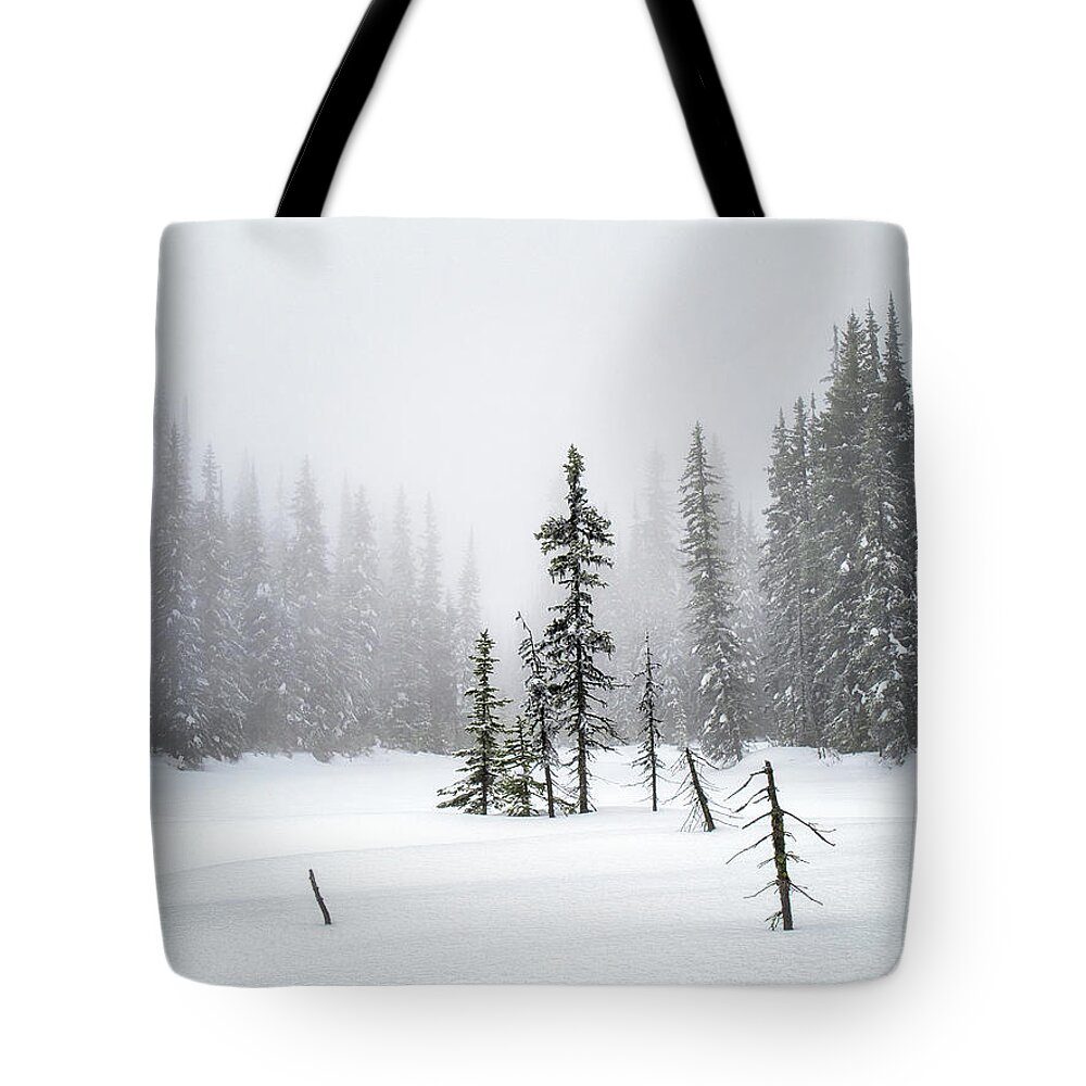 Okanagan Valley Tote Bag featuring the photograph Let Your Memory Drift by Allan Van Gasbeck
