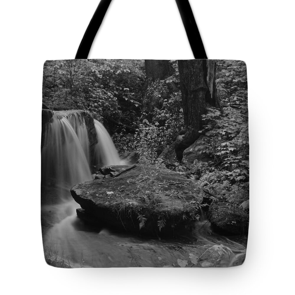  Tote Bag featuring the photograph Liberty Park by Brad Nellis