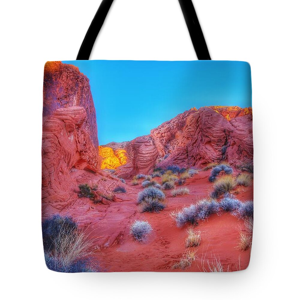  Tote Bag featuring the photograph Life on Mars 2 by Rodney Lee Williams